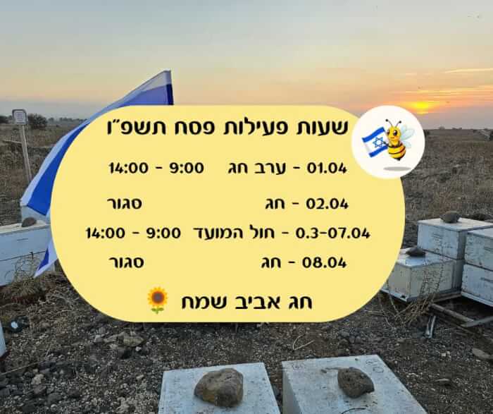 לחנות האונליין