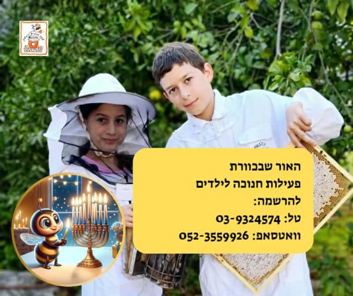 לחנות האונליין