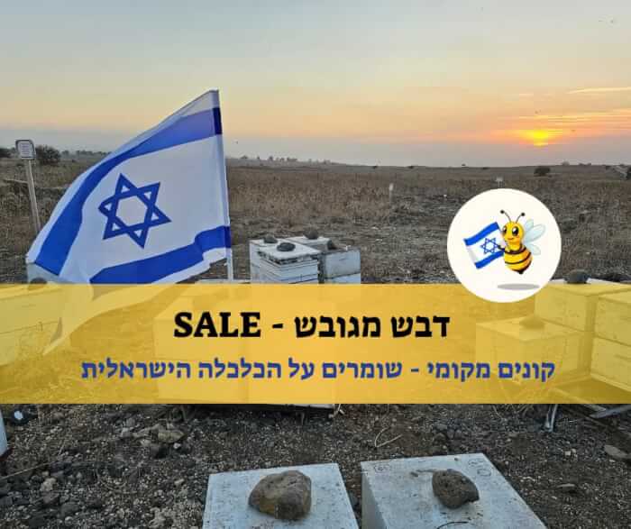 לחנות האונליין