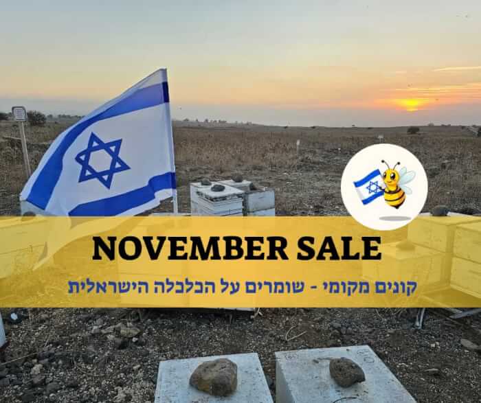 לחנות האונליין