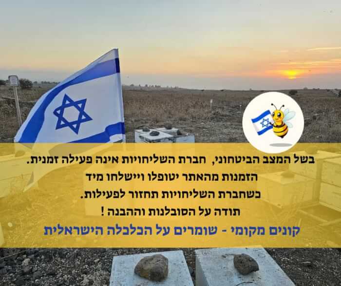לחנות האונליין