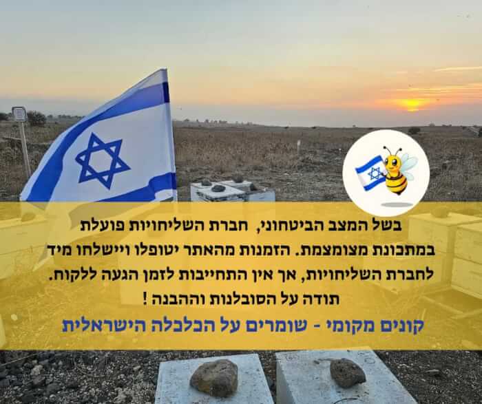 לחנות האונליין