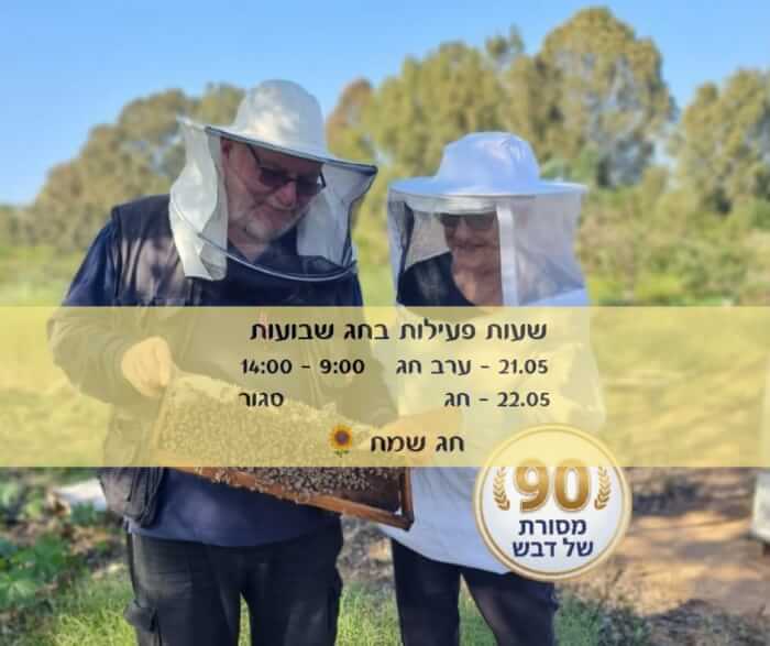 לחנות האונליין
